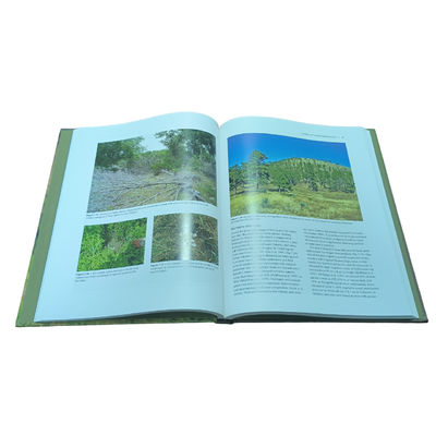 Wild Turkeys In Texas Ecology And Management | Matte Lamination Textbook Printing Glossy C2S With Vivid 4C/4C Printing